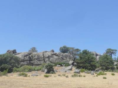 Montes de Peguerinos, cuna de la mariposa isabelina; diversión grupos para caminar por madrid ruta d